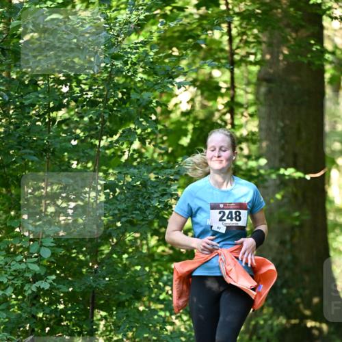 06.10.2024 - Bramfelder Halbmarathon 2024 Dr. Thomas Lammeyer http://msf.ph/oto/7337627 06.10.2024 10:22:22 Laufen 248, 83 meine-sportfotos.de