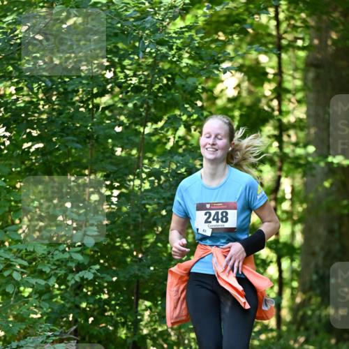 06.10.2024 - Bramfelder Halbmarathon 2024 Dr. Thomas Lammeyer http://msf.ph/oto/7337630 06.10.2024 10:22:22 Laufen 33, 248, 83 meine-sportfotos.de
