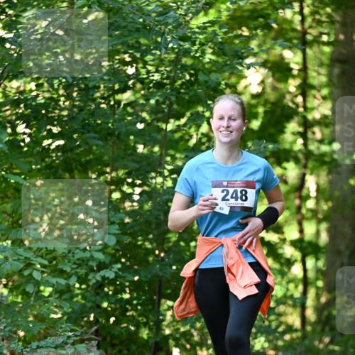 06.10.2024 - Bramfelder Halbmarathon 2024 Dr. Thomas Lammeyer http://msf.ph/oto/7337631 06.10.2024 10:22:22 Laufen 248, 83 meine-sportfotos.de