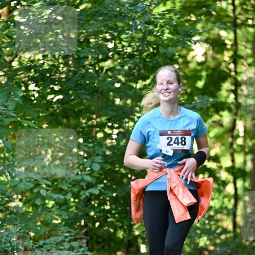 06.10.2024 - Bramfelder Halbmarathon 2024 Dr. Thomas Lammeyer http://msf.ph/oto/7337632 06.10.2024 10:22:22 Laufen 33, 248, 83 meine-sportfotos.de