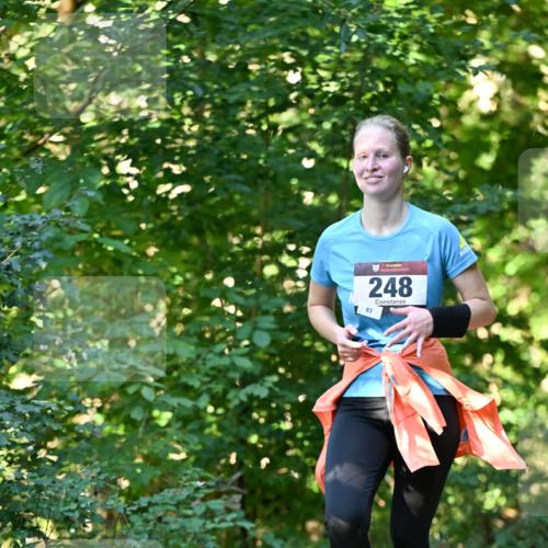 06.10.2024 - Bramfelder Halbmarathon 2024 Dr. Thomas Lammeyer http://msf.ph/oto/7337633 06.10.2024 10:22:22 Laufen 33, 248, 83 meine-sportfotos.de