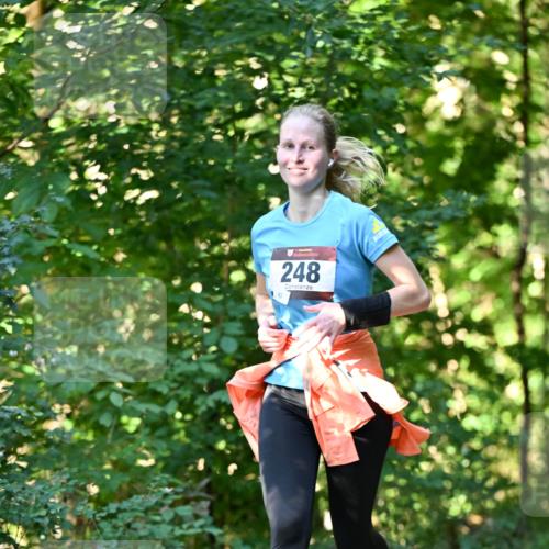 06.10.2024 - Bramfelder Halbmarathon 2024 Dr. Thomas Lammeyer http://msf.ph/oto/7337634 06.10.2024 10:22:23 Laufen 248 meine-sportfotos.de