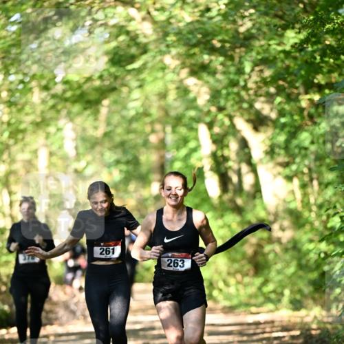 06.10.2024 - Bramfelder Halbmarathon 2024 Dr. Thomas Lammeyer http://msf.ph/oto/7337635 06.10.2024 10:22:24 Laufen 261, 263 meine-sportfotos.de