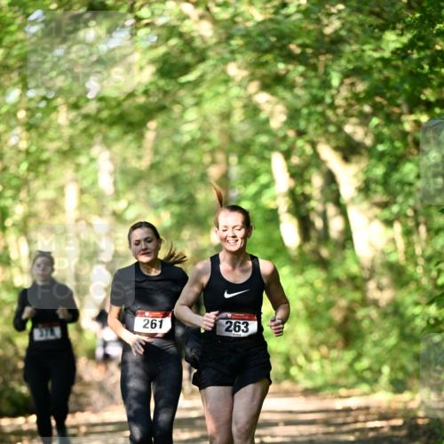 06.10.2024 - Bramfelder Halbmarathon 2024 Dr. Thomas Lammeyer http://msf.ph/oto/7337637 06.10.2024 10:22:25 Laufen 261, 263 meine-sportfotos.de