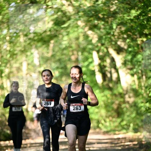 06.10.2024 - Bramfelder Halbmarathon 2024 Dr. Thomas Lammeyer http://msf.ph/oto/7337638 06.10.2024 10:22:25 Laufen 261, 263 meine-sportfotos.de