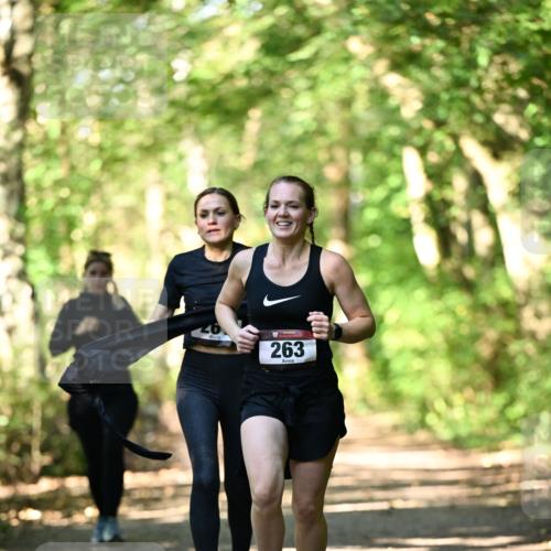 06.10.2024 - Bramfelder Halbmarathon 2024 Dr. Thomas Lammeyer http://msf.ph/oto/7337643 06.10.2024 10:22:25 Laufen 263 meine-sportfotos.de