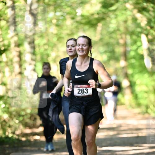 06.10.2024 - Bramfelder Halbmarathon 2024 Dr. Thomas Lammeyer http://msf.ph/oto/7337648 06.10.2024 10:22:26 Laufen 263 meine-sportfotos.de
