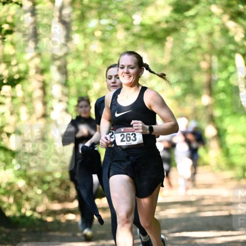 06.10.2024 - Bramfelder Halbmarathon 2024 Dr. Thomas Lammeyer http://msf.ph/oto/7337649 06.10.2024 10:22:26 Laufen 263 meine-sportfotos.de