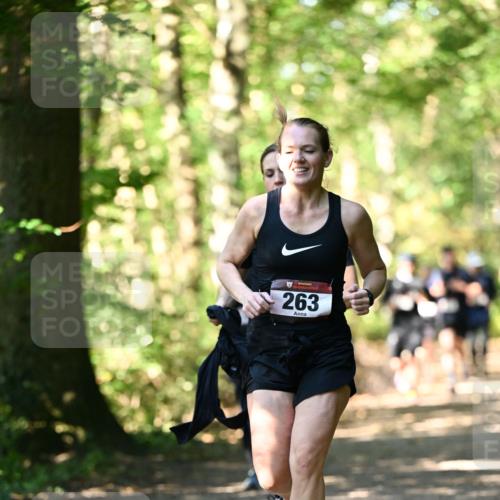 06.10.2024 - Bramfelder Halbmarathon 2024 Dr. Thomas Lammeyer http://msf.ph/oto/7337652 06.10.2024 10:22:27 Laufen 263 meine-sportfotos.de