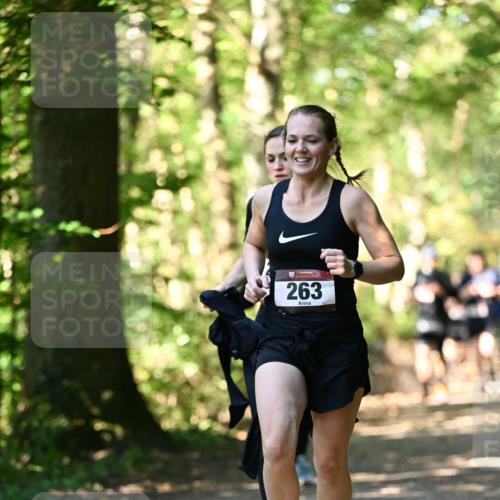 06.10.2024 - Bramfelder Halbmarathon 2024 Dr. Thomas Lammeyer http://msf.ph/oto/7337653 06.10.2024 10:22:27 Laufen 263 meine-sportfotos.de