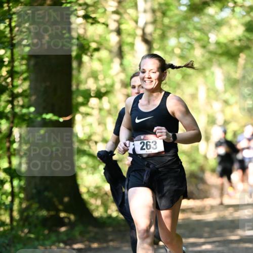 06.10.2024 - Bramfelder Halbmarathon 2024 Dr. Thomas Lammeyer http://msf.ph/oto/7337654 06.10.2024 10:22:27 Laufen 263 meine-sportfotos.de