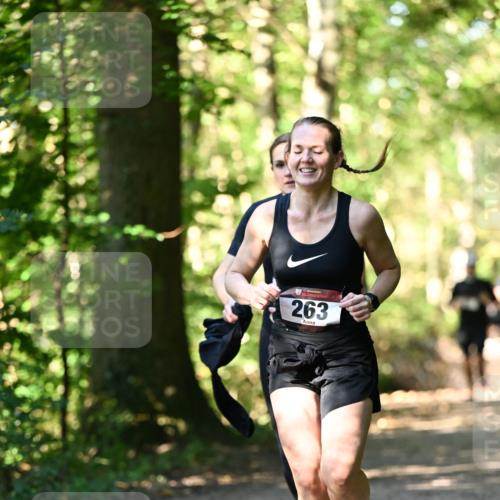 06.10.2024 - Bramfelder Halbmarathon 2024 Dr. Thomas Lammeyer http://msf.ph/oto/7337655 06.10.2024 10:22:27 Laufen 9, 263 meine-sportfotos.de