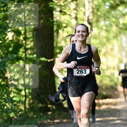 06.10.2024 - Bramfelder Halbmarathon 2024 Dr. Thomas Lammeyer http://msf.ph/oto/7337656 06.10.2024 10:22:27 Laufen 263 meine-sportfotos.de