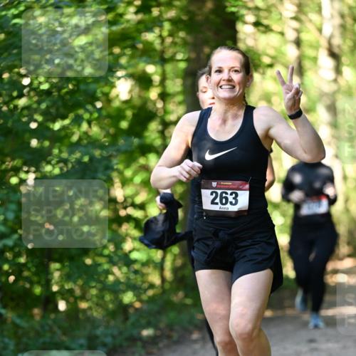 06.10.2024 - Bramfelder Halbmarathon 2024 Dr. Thomas Lammeyer http://msf.ph/oto/7337660 06.10.2024 10:22:28 Laufen 3, 263 meine-sportfotos.de