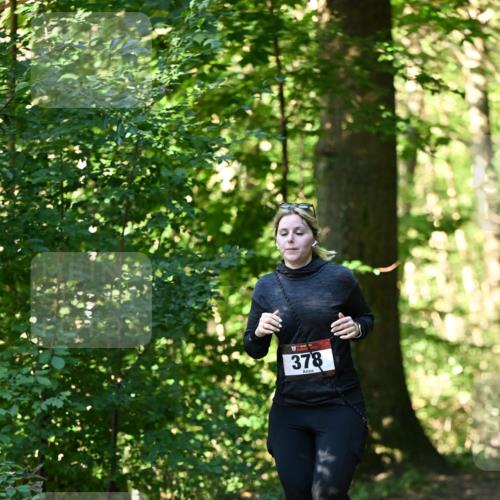 06.10.2024 - Bramfelder Halbmarathon 2024 Dr. Thomas Lammeyer http://msf.ph/oto/7337665 06.10.2024 10:22:30 Laufen 378 meine-sportfotos.de
