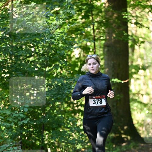 06.10.2024 - Bramfelder Halbmarathon 2024 Dr. Thomas Lammeyer http://msf.ph/oto/7337666 06.10.2024 10:22:30 Laufen 378 meine-sportfotos.de