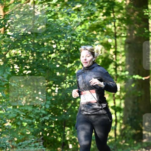 06.10.2024 - Bramfelder Halbmarathon 2024 Dr. Thomas Lammeyer http://msf.ph/oto/7337669 06.10.2024 10:22:30 Laufen 373 meine-sportfotos.de