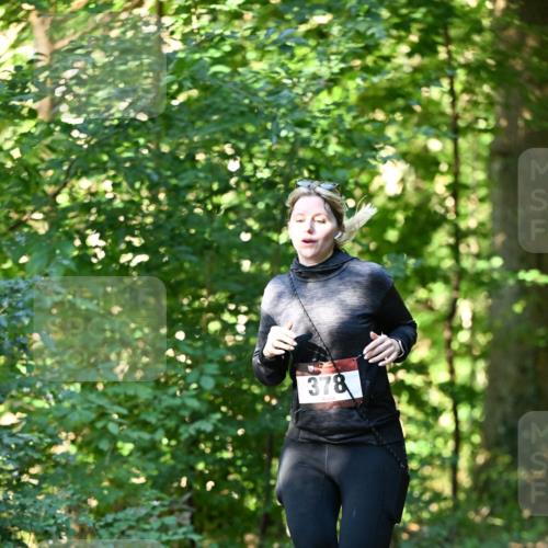06.10.2024 - Bramfelder Halbmarathon 2024 Dr. Thomas Lammeyer http://msf.ph/oto/7337670 06.10.2024 10:22:30 Laufen 378 meine-sportfotos.de
