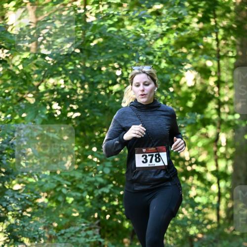 06.10.2024 - Bramfelder Halbmarathon 2024 Dr. Thomas Lammeyer http://msf.ph/oto/7337671 06.10.2024 10:22:30 Laufen 378 meine-sportfotos.de
