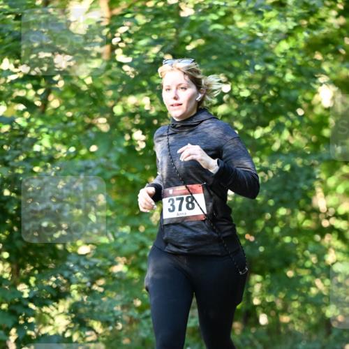 06.10.2024 - Bramfelder Halbmarathon 2024 Dr. Thomas Lammeyer http://msf.ph/oto/7337674 06.10.2024 10:22:31 Laufen 378 meine-sportfotos.de