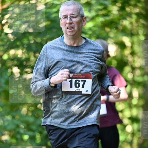 06.10.2024 - Bramfelder Halbmarathon 2024 Dr. Thomas Lammeyer http://msf.ph/oto/7337738 06.10.2024 10:22:54 Laufen 33, 167, 49 meine-sportfotos.de