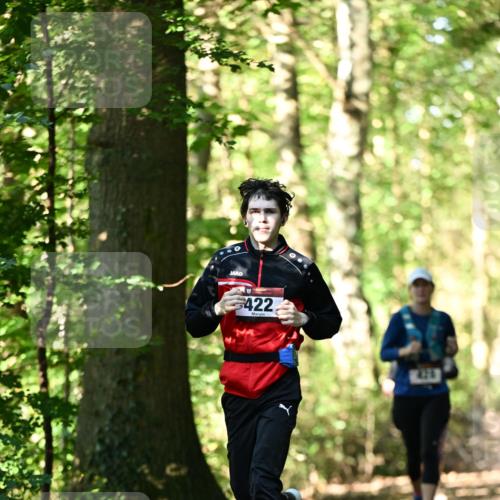 06.10.2024 - Bramfelder Halbmarathon 2024 Dr. Thomas Lammeyer http://msf.ph/oto/7337774 06.10.2024 10:23:13 Laufen 422 meine-sportfotos.de