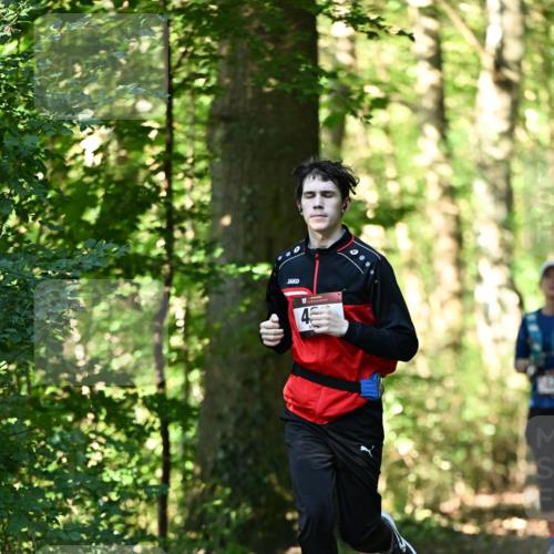06.10.2024 - Bramfelder Halbmarathon 2024 Dr. Thomas Lammeyer http://msf.ph/oto/7337777 06.10.2024 10:23:13 Laufen  meine-sportfotos.de