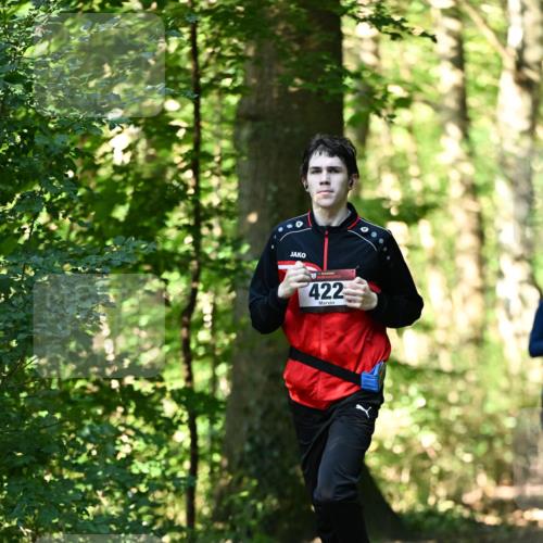 06.10.2024 - Bramfelder Halbmarathon 2024 Dr. Thomas Lammeyer http://msf.ph/oto/7337778 06.10.2024 10:23:13 Laufen 422 meine-sportfotos.de