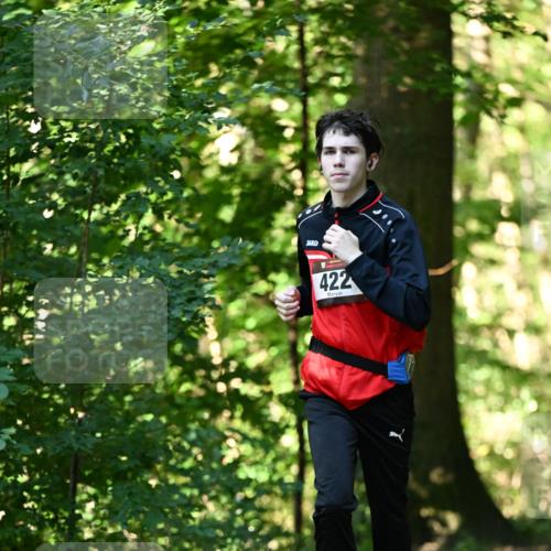 06.10.2024 - Bramfelder Halbmarathon 2024 Dr. Thomas Lammeyer http://msf.ph/oto/7337781 06.10.2024 10:23:14 Laufen 422 meine-sportfotos.de