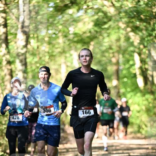 06.10.2024 - Bramfelder Halbmarathon 2024 Dr. Thomas Lammeyer http://msf.ph/oto/7337782 06.10.2024 10:23:15 Laufen 428, 306, 172, 166 meine-sportfotos.de