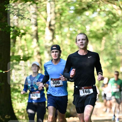 06.10.2024 - Bramfelder Halbmarathon 2024 Dr. Thomas Lammeyer http://msf.ph/oto/7337785 06.10.2024 10:23:15 Laufen 428, 306, 172, 166 meine-sportfotos.de