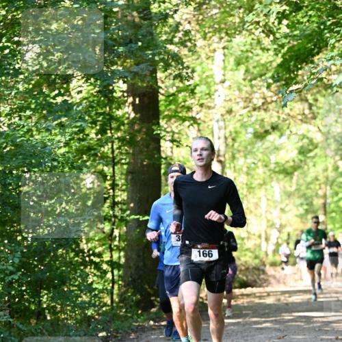 06.10.2024 - Bramfelder Halbmarathon 2024 Dr. Thomas Lammeyer http://msf.ph/oto/7337788 06.10.2024 10:23:16 Laufen 3, 166 meine-sportfotos.de