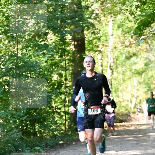 06.10.2024 - Bramfelder Halbmarathon 2024 Dr. Thomas Lammeyer http://msf.ph/oto/7337790 06.10.2024 10:23:16 Laufen 166 meine-sportfotos.de