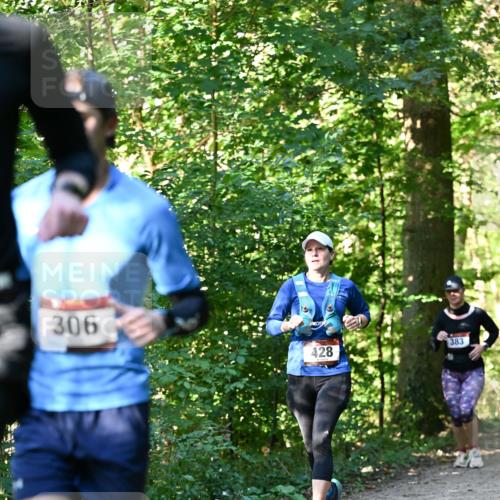 06.10.2024 - Bramfelder Halbmarathon 2024 Dr. Thomas Lammeyer http://msf.ph/oto/7337794 06.10.2024 10:23:18 Laufen 306, 428, 383 meine-sportfotos.de