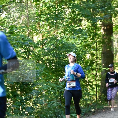 06.10.2024 - Bramfelder Halbmarathon 2024 Dr. Thomas Lammeyer http://msf.ph/oto/7337796 06.10.2024 10:23:18 Laufen 383, 428 meine-sportfotos.de