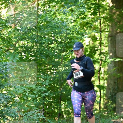 06.10.2024 - Bramfelder Halbmarathon 2024 Dr. Thomas Lammeyer http://msf.ph/oto/7337797 06.10.2024 10:23:20 Laufen 383 meine-sportfotos.de