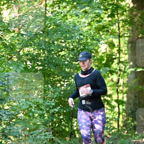 06.10.2024 - Bramfelder Halbmarathon 2024 Dr. Thomas Lammeyer http://msf.ph/oto/7337798 06.10.2024 10:23:20 Laufen  meine-sportfotos.de