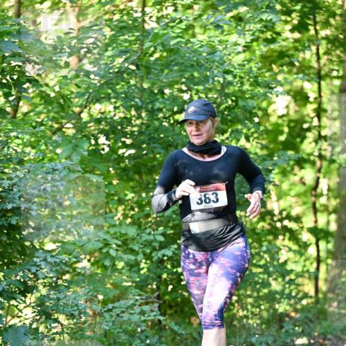 06.10.2024 - Bramfelder Halbmarathon 2024 Dr. Thomas Lammeyer http://msf.ph/oto/7337800 06.10.2024 10:23:20 Laufen 383 meine-sportfotos.de