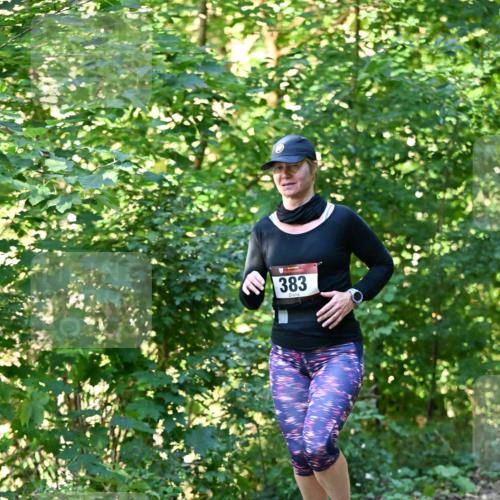 06.10.2024 - Bramfelder Halbmarathon 2024 Dr. Thomas Lammeyer http://msf.ph/oto/7337804 06.10.2024 10:23:21 Laufen 383 meine-sportfotos.de