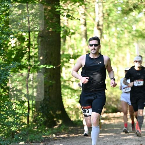 06.10.2024 - Bramfelder Halbmarathon 2024 Dr. Thomas Lammeyer http://msf.ph/oto/7337815 06.10.2024 10:23:26 Laufen 293, 168, 340, 161 meine-sportfotos.de