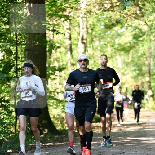06.10.2024 - Bramfelder Halbmarathon 2024 Dr. Thomas Lammeyer http://msf.ph/oto/7337828 06.10.2024 10:23:28 Laufen 196, 340, 161, 530 meine-sportfotos.de