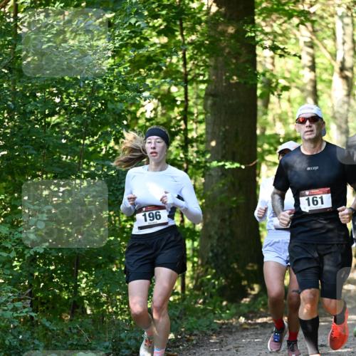 06.10.2024 - Bramfelder Halbmarathon 2024 Dr. Thomas Lammeyer http://msf.ph/oto/7337830 06.10.2024 10:23:29 Laufen 196, 161 meine-sportfotos.de