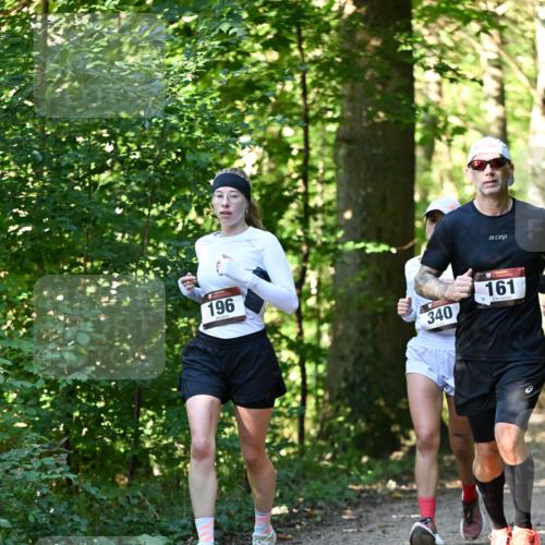 06.10.2024 - Bramfelder Halbmarathon 2024 Dr. Thomas Lammeyer http://msf.ph/oto/7337831 06.10.2024 10:23:29 Laufen 196, 340, 18, 161 meine-sportfotos.de