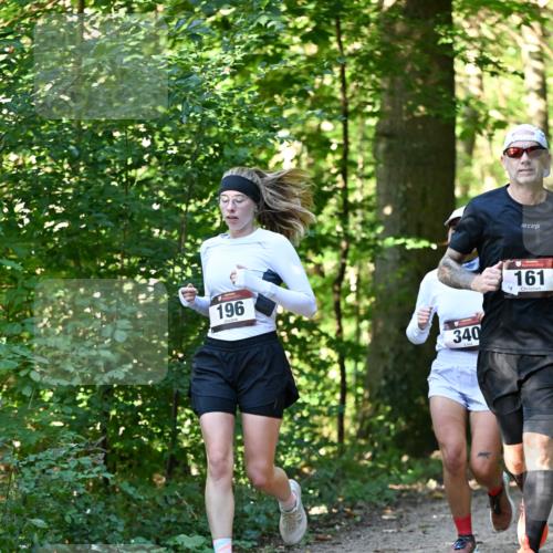 06.10.2024 - Bramfelder Halbmarathon 2024 Dr. Thomas Lammeyer http://msf.ph/oto/7337832 06.10.2024 10:23:29 Laufen 196, 340, 18, 161 meine-sportfotos.de