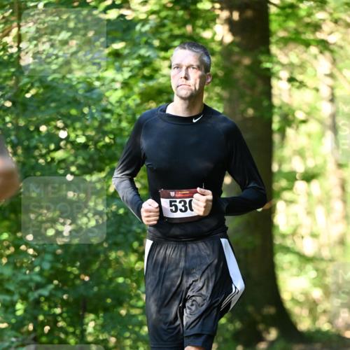 06.10.2024 - Bramfelder Halbmarathon 2024 Dr. Thomas Lammeyer http://msf.ph/oto/7337844 06.10.2024 10:23:31 Laufen 530 meine-sportfotos.de