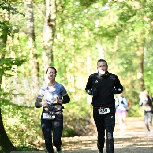 06.10.2024 - Bramfelder Halbmarathon 2024 Dr. Thomas Lammeyer http://msf.ph/oto/7337850 06.10.2024 10:23:34 Laufen 492, 480, 3 meine-sportfotos.de