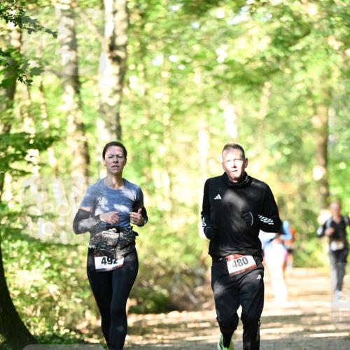 06.10.2024 - Bramfelder Halbmarathon 2024 Dr. Thomas Lammeyer http://msf.ph/oto/7337851 06.10.2024 10:23:34 Laufen 492, 480 meine-sportfotos.de