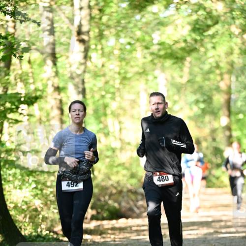 06.10.2024 - Bramfelder Halbmarathon 2024 Dr. Thomas Lammeyer http://msf.ph/oto/7337852 06.10.2024 10:23:35 Laufen 492, 480 meine-sportfotos.de