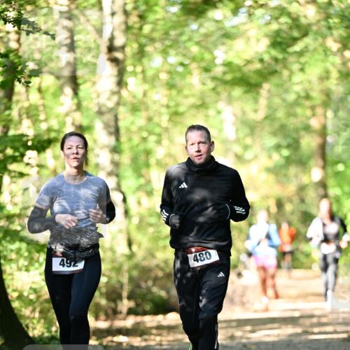 06.10.2024 - Bramfelder Halbmarathon 2024 Dr. Thomas Lammeyer http://msf.ph/oto/7337856 06.10.2024 10:23:35 Laufen 492, 480 meine-sportfotos.de