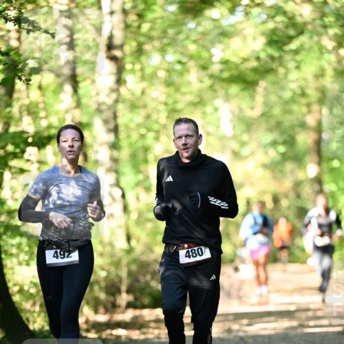 06.10.2024 - Bramfelder Halbmarathon 2024 Dr. Thomas Lammeyer http://msf.ph/oto/7337857 06.10.2024 10:23:35 Laufen 492, 480 meine-sportfotos.de